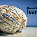 یادگیری مغز